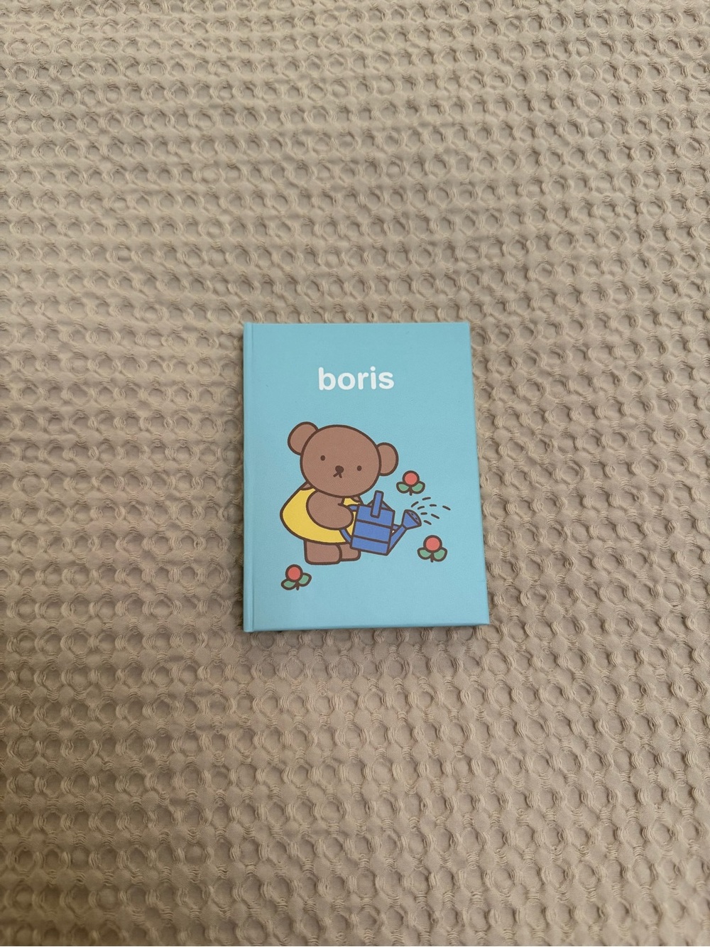 Mini Boris Notebook